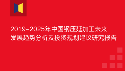 2019-2025年中国钢压延加工未来发展趋势分析及投资规划建议研究报告